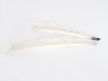 Pre-Cut Feather Writing Quills